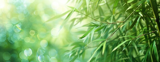 Wall Mural - Bamboo Leaves in a Green Oasis