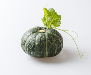 Close up of a sweet pumpkin with green fruit and leaf on white floor, South Korea
