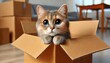© ProStockGallery - Cute Cat with Big Eyes Inside Cardboard Box.