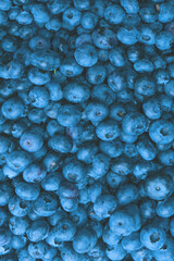 Sticker - Fresh blueberry background. Texture blueberry berries close up.