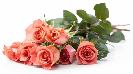 Wall Mural - Delicate Bouquet of Peach Roses