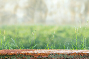 Poster - Empty stone table on lush green grass, perfect for text or graphics. Serene and rustic, ideal for showcasing products or designs in spring or summer themes