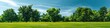 © AIGen - Trees Field. Picturesque Summer Park Landscape with Green Meadow and Trees