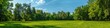 © AIGen - Field Trees. Summer Park Landscape with Green Meadow, Trees, and Blue Sky