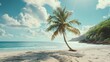 © Shodaime - A tropical paradise view with a lone palm tree on a quiet Caribbean beach