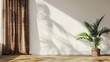 © TKMedia - Palm Plant Against White Wall Mockup With Sunlight