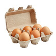 © ENTERPRISE STUDIO® - Highly realistic advertising photo of a fresh eggs pack six pack isolated on transparent background