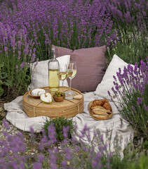 Wall Mural - Glass of white wine in a lavender field. Violet flowers on the background.