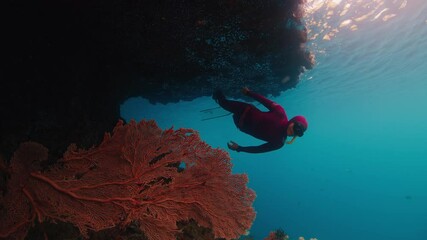 Sticker - Freediver swims underwater near the corals in Raja Ampat region in Indonesia