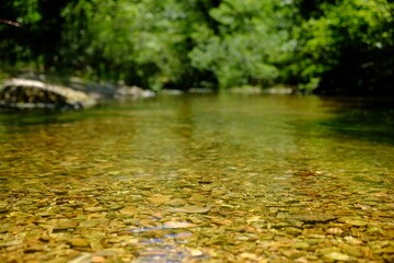 Sticker - Beautiful mountain river with transparent water in park, closeup