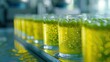© Meow Creations - Glasses with fresh green juice on conveyor belt in beverage factory. Industrial food production, automation, bottling, technology, and manufacturing concept.