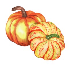 Wall Mural - Two large fall pumpkins orange and yellow. Fall vegetable harvest festival. Thanksgiving pumpkins. Hand-drawn watercolor illustration.