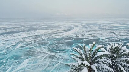 Poster - Snow-Covered Palm Trees Line Frozen Lake in Winter