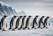 © jarntag - A group of penguins waddling across an icy landscape.