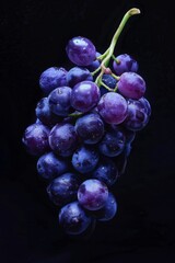 Wall Mural - Mystic photo of Concord Grape, isolated on black background