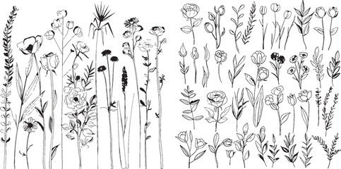 Fototapete - Set of contemporary one line flowers, plants, leaves, and branches. We have simplified sketches, black and white, that can be used as floral logos and icons.