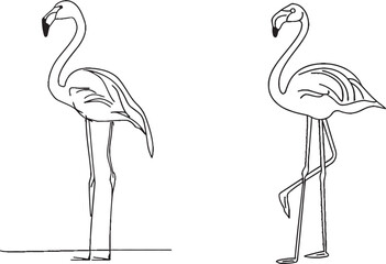 Fototapete - On a white background, a black line drawing of a flamingo bird has a single line outline