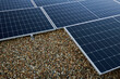 © StockyMcStockStock - Closeup of solar panels on rooftop