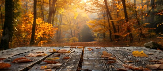 Wall Mural - Autumnal Forest Scene with Wooden Table