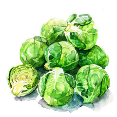 Wall Mural - A watercolor painting of fresh Brussels sprouts, showing their detailed textures and vibrant green color, isolated on white background.