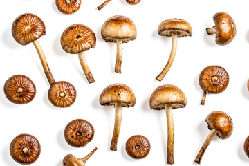 Poster - Brown Mushrooms Pattern on White Background