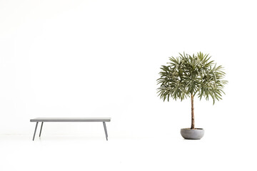 Poster - Minimalist Interior Design with Grey Bench and Green Plant