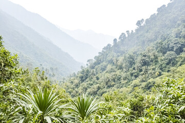 Sticker - Lush Green Mountains in Mist