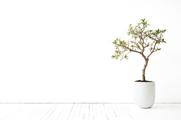 Poster - Minimalist Plant in a White Pot on a White Floor