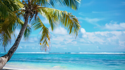 Canvas Print - Palm tree on the beach