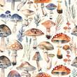 © Mitchell - Scientific Watercolour Mushroom Spoor Print – Detailed and Elegant