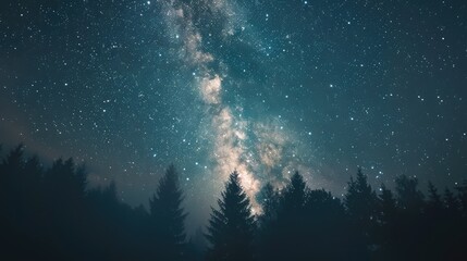 Wall Mural - the milky way galaxy above a dense forest