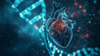 © Natali - Human heart organ anatomy with DNA sequence illustration. Medicine science technology research concept, genetic biology laboratory diagnosis, disease treatmen
