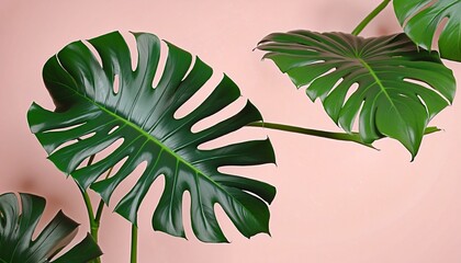 Wall Mural - Lush Paradise: A Summer Botanical Design