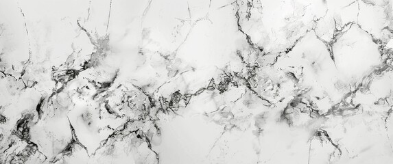 Wall Mural - White Marble Texture With Gray Veins Background Image