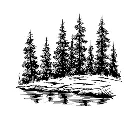 Wall Mural - pine forest engraving black and white outline