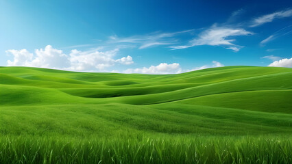 Wall Mural - Scenery beautiful of green field with blue sky green grass fields on small hills and blue sky suitable for wallpaper and background illustration