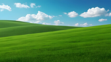 Wall Mural - Scenery beautiful of green field with blue sky green grass fields on small hills and blue sky suitable for wallpaper and background illustration