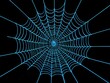 © Rusti_video & image - Abstract blue spider web on a black background.