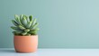© SayLi - green succulent plant in a vase pot on a table surface. pastel blue wallpaper background with blank copy space for editing adding text and ads, web design, sites.  display product