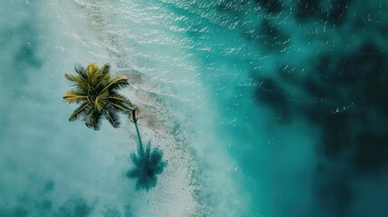 Sticker - A small palm tree is sitting on a rock in the ocean. The water is calm and blue, and the sky is clear. The scene is peaceful and serene