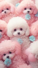 Wall Mural - Fluffy pastel Poodle poodle mammal animal.