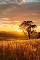 Wall Mural - Lone Tree Sunset Field