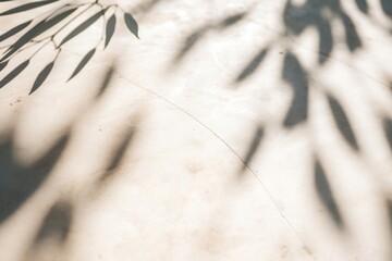 Canvas Print - Natural shadow overlay effect  image by rawpixel