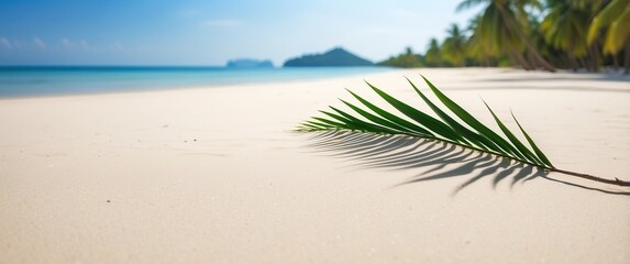 Canvas Print - A serene beach scene featuring a palm leaf on soft sand, capturing the essence of tropical relaxation and vacation getaways