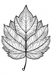 Wall Mural - Leaf sketch art illustrated.