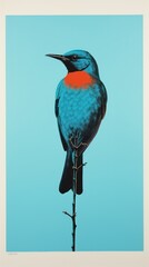 Canvas Print - Bird bluebird animal beak.