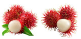 Vibrant rambutan cluster, spiky red shells, juicy white flesh, green leaves, tropical fruit display on a transparent background.