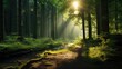 © munawaroh - Sunbeams illuminate a forest path.