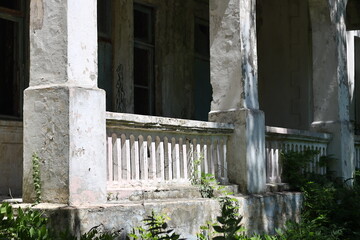 Poster - A calm cat sits on the porch of an old house, surrounded by nature.