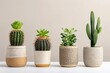 © Kin no Hikari - Four potted succulent plants in stylish ceramic pots, perfect for home decor and indoor gardening. Modern and minimalist design.